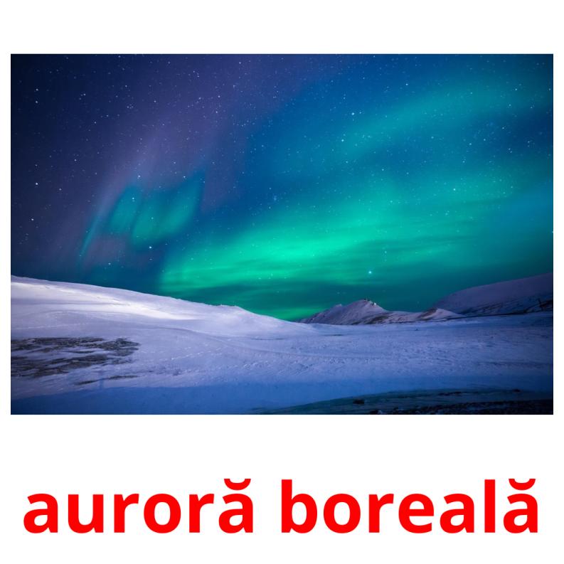 auroră boreală Tarjetas didacticas