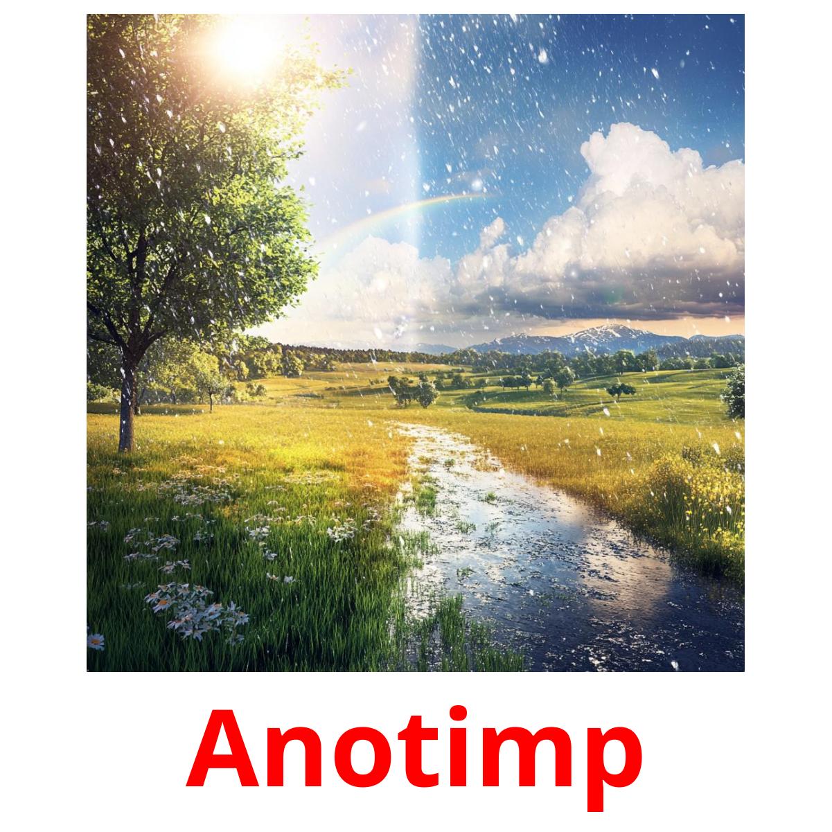 Anotimp picture flashcards