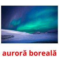 auroră boreală picture flashcards