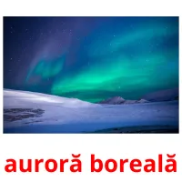 auroră boreală Bildkarteikarten