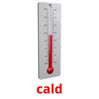 cald picture flashcards