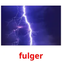 fulger Bildkarteikarten