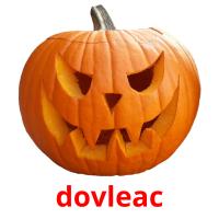 dovleac flashcards illustrate