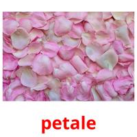 petale card for translate