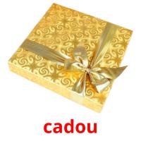 cadou picture flashcards