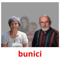 bunici picture flashcards