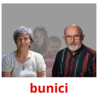 bunici picture flashcards