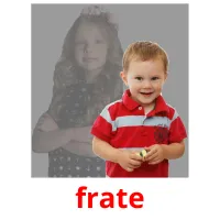 frate picture flashcards