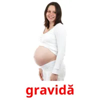 gravidă picture flashcards