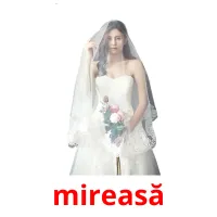 mireasă picture flashcards