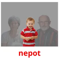 nepot picture flashcards