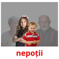 nepoții picture flashcards