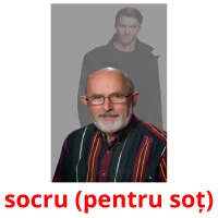 socru (pentru soț) picture flashcards