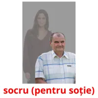 socru (pentru soție) picture flashcards