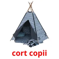 сort copii ansichtkaarten