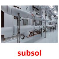 subsol picture flashcards