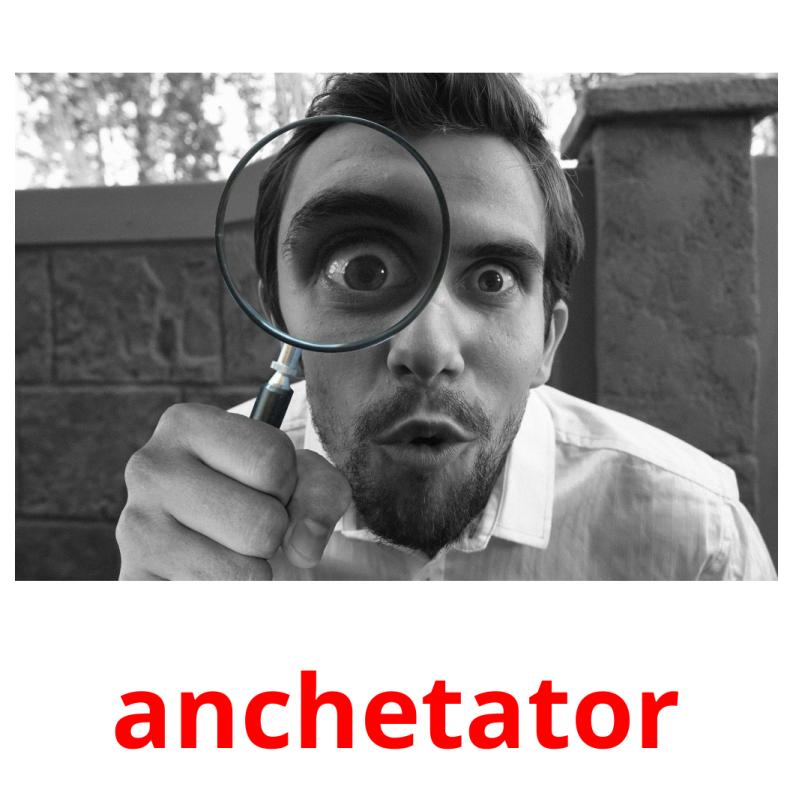 anchetator picture flashcards