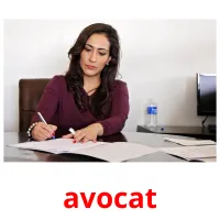 avocat Bildkarteikarten