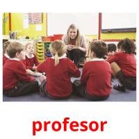 profesor picture flashcards