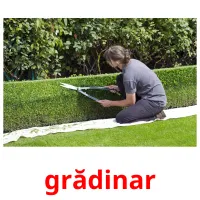 grădinar ansichtkaarten