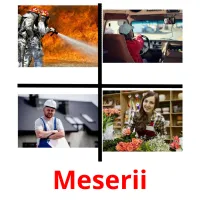 Meserii ansichtkaarten