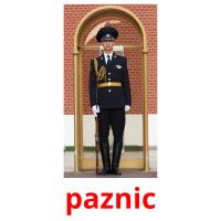 paznic picture flashcards