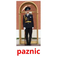 paznic ansichtkaarten