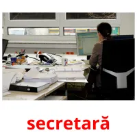 secretară ansichtkaarten