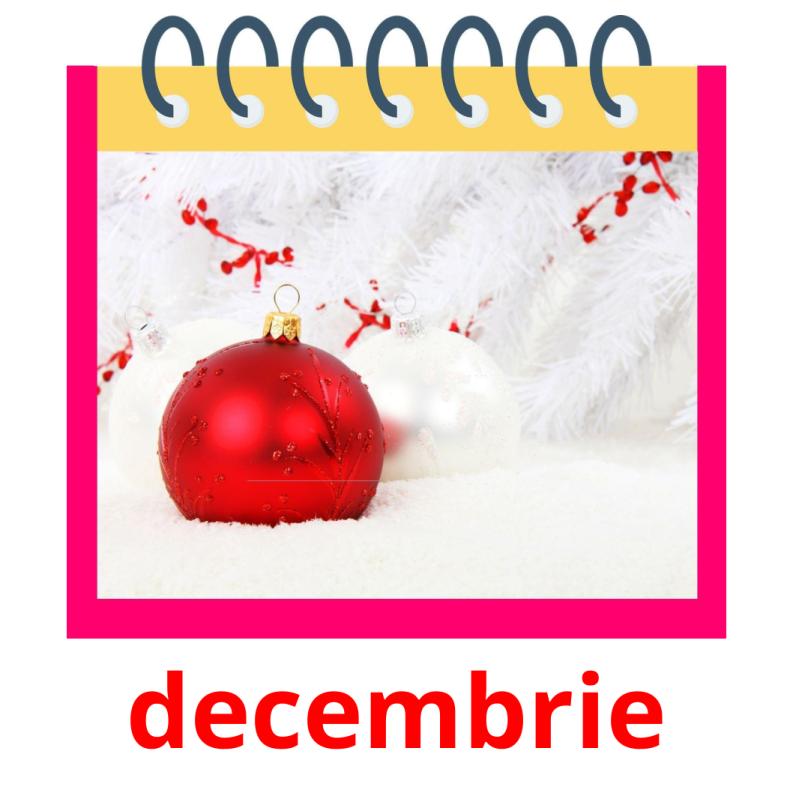 decembrie picture flashcards