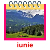 iunie Bildkarteikarten