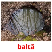 baltă Bildkarteikarten