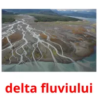 delta fluviului flashcards illustrate