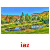 iaz flashcards illustrate