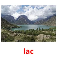 lac flashcards illustrate