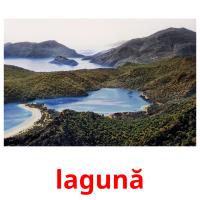 lagună card for translate