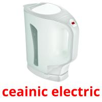 ceainic electric card for translate