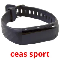 ceas sport flashcards illustrate