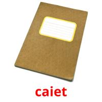 caiet flashcards illustrate
