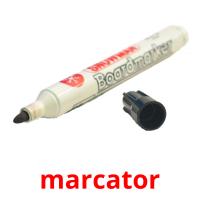 marcator picture flashcards