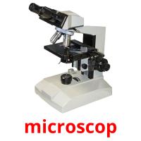 microscop cartes flash
