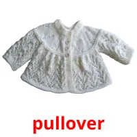 pullover карточки энциклопедических знаний