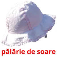 pălărie de soare карточки энциклопедических знаний