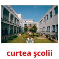 curtea şcolii Bildkarteikarten