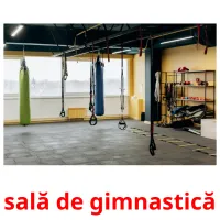 sală de gimnastică Bildkarteikarten