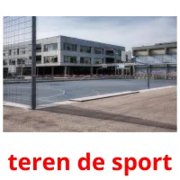 teren de sport Bildkarteikarten