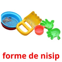 forme de nisip карточки энциклопедических знаний