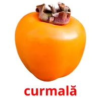 curmală Bildkarteikarten