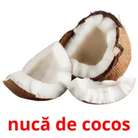 nucă de cocos карточки энциклопедических знаний