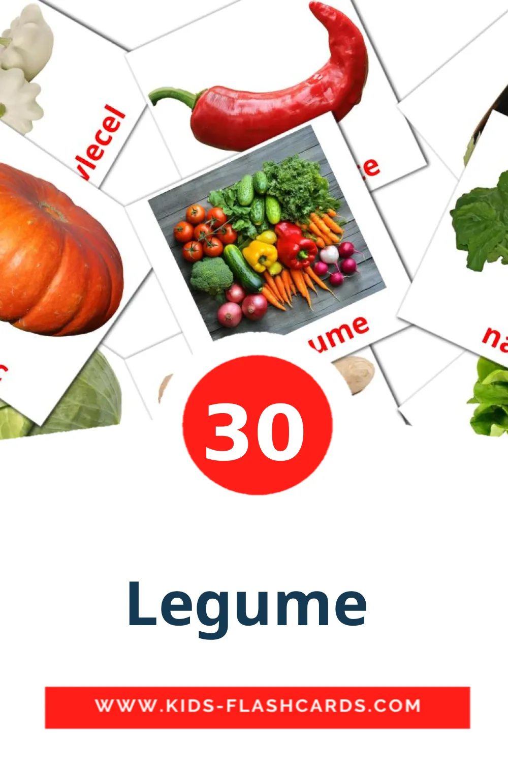 30 Legume  Picture Cards for Kindergarden in romanian