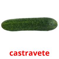 castravete card for translate